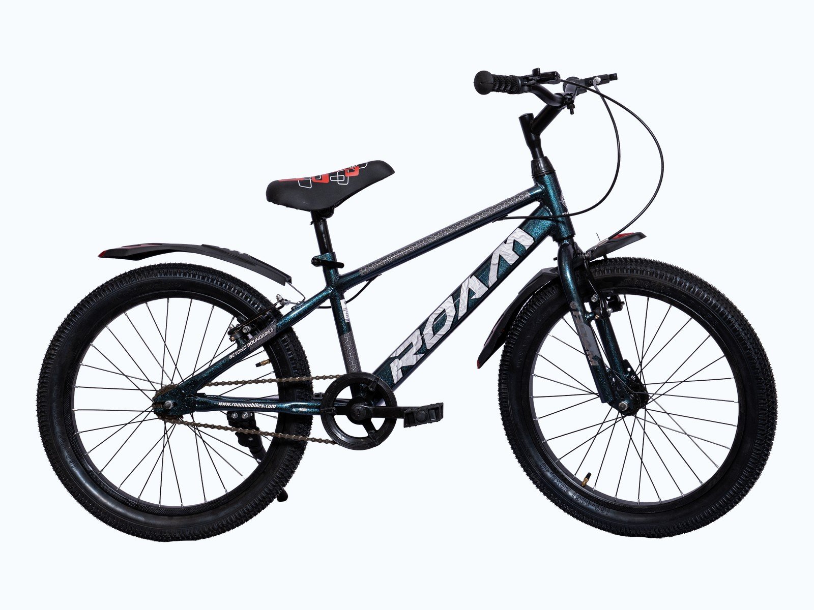 ROAM Matrix bicycle